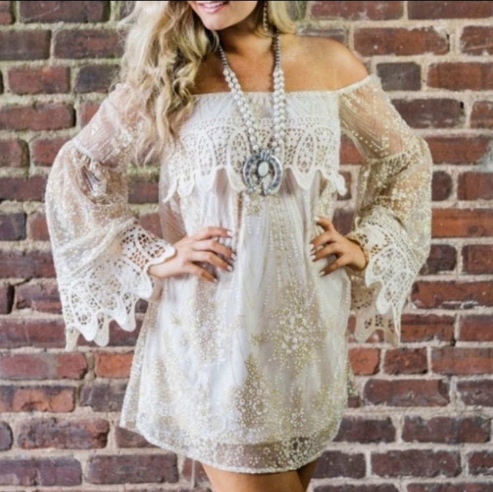 Large Southern Fried Chicks dress NWT